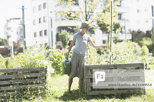 Ältere Frau bewässert Pflanzen im städtischen Garten