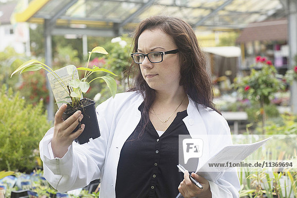 Wissenschaftlerin inspiziert Pflanze im Gewächshaus  Freiburg im Breisgau  Freiburg im Breisgau  Deutschland