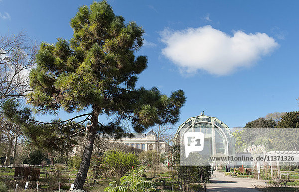 France  Paris  5th district. Jardin des plantes. Garden of the School of Botany garden and the great greenhouses