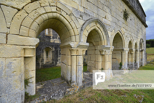 Frankreich  Dordogne  Säule der zerstörten Abtei Boschaud