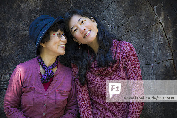 Ältere japanische Mutter und Tochter posieren an einer Baumscheibe