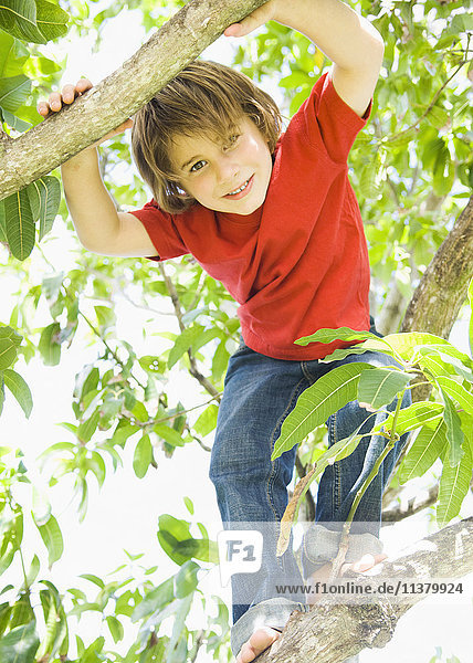 Caucasian boy smiling in tree
