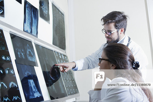 Hispanic doctors examining x-rays