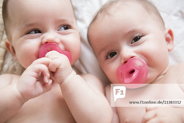 Caucasian twin baby girls sucking pacifiers