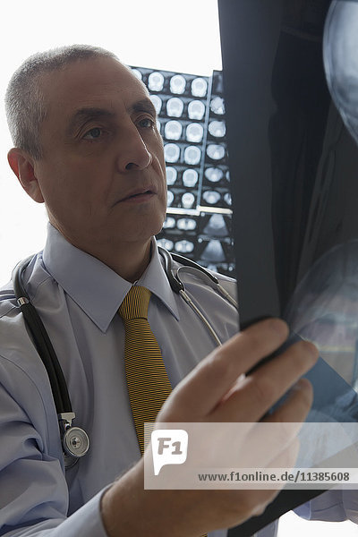 Hispanischer Arzt bei der Untersuchung von Röntgenbildern