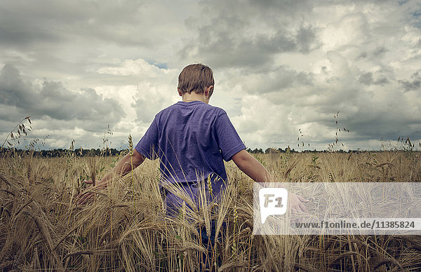 Kaukasischer Junge geht in einem Weizenfeld
