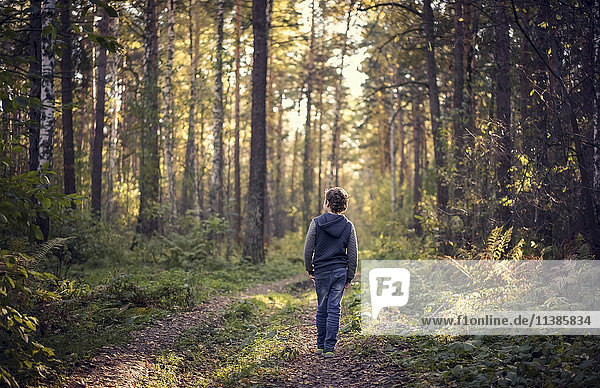 Kaukasischer Junge wandert im Wald