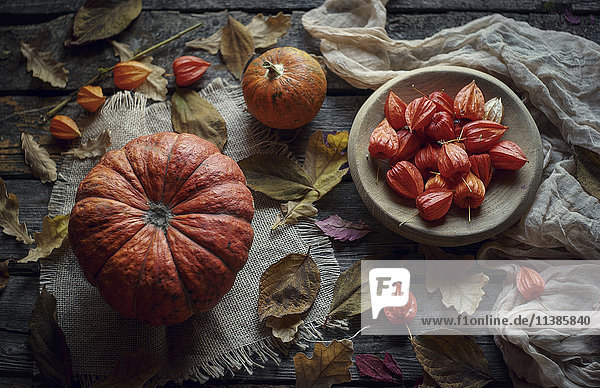 Kürbisse und Herbstblätter auf Holztisch