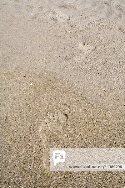 Fußabdrücke im Sand  North Berwick  East Lothian  Schottland  UK