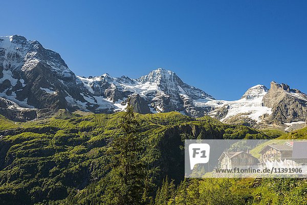 Berggasthof Obersteinberg  Berggasthaus  Tschingelhorn hinten mit Schnee  Hinteres Lauterbrunnen  Schweizer Alpen Jungfrau-Aletsch  Berner Oberland  Schweiz  Europa