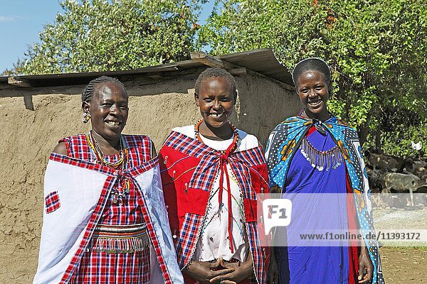 Maasai-Frauen in traditionellen Shukas  Mara-Dreieck  Masai Mara  Bezirk Narok  Kenia  Afrika