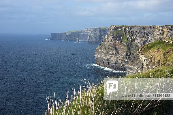 Steilküste  Cliffs of Moher  Grafschaft Clare  Irland  Vereinigtes Königreich  Europa