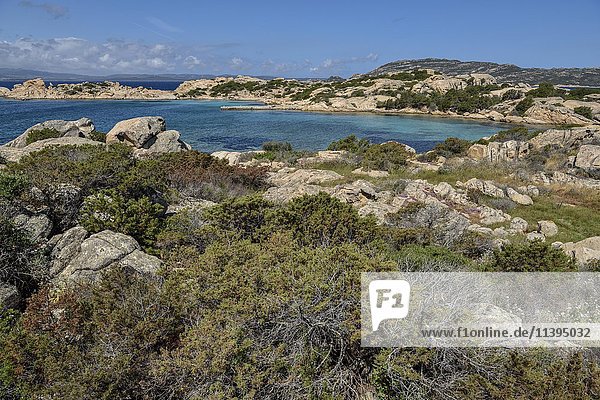 Bucht  Cala Francese  Insel La Maddalena  Provinz Sassari  Gallura  Sardinien  Italien  Europa