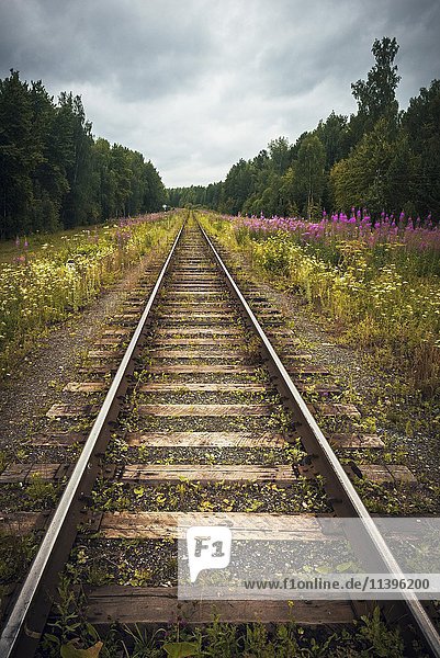 Eisenbahnschienen  Naturpark Oleni Ruchi  Region Swerdlowsk  Russland  Europa