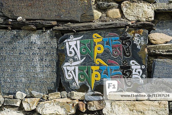 Mani-Steine mit eingraviertem bunten tibetischen Mantra an einer Mauer  Manang  Manang District  Nepal  Asien