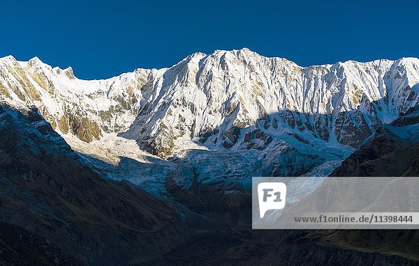 Ausblick auf den schneebedeckten Annapurna I North Face bei Sonnenaufgang Chomrong Kaski District Nepal Asien