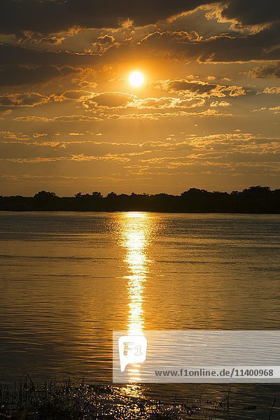 Sonnenuntergang  Fluss Sambesi  Katima Mulilo  Caprivi  Namibia  Afrika