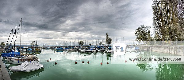 Segelboote im Hafen  regnerische Stimmung  Seepark  Romanshorn  Bodensee  Kanton Thurgau  Schweiz  Europa