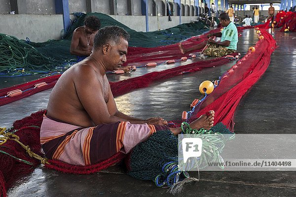 Local men repairing fishing nets in hall at harbour  Beruwela  Western Province  Sri Lanka  Asia