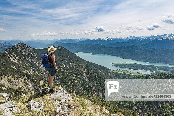 Hiker looking towards Lake Kochel from Heimgarten peak  left Herzogstand  Upper Bavaria  Bavaria  Germany  Europe