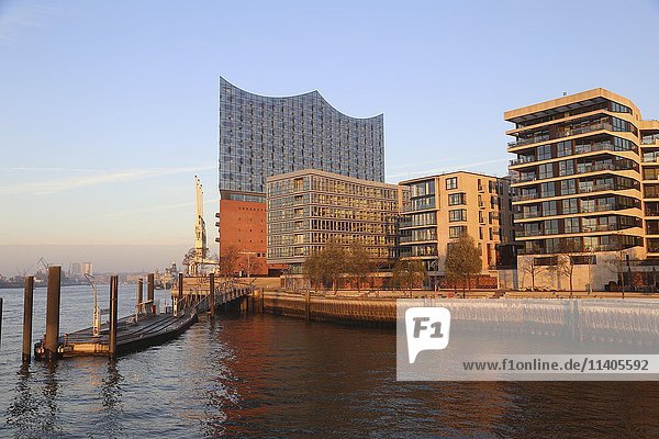 Blick auf Elbphilharmonie und moderne Wohnhäuser  Hafencity  Hamburg  Deutschland  Europa