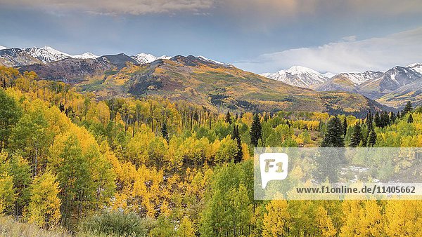 Berglandschaft mit Herbstwald  verschneite Gipfel der Rocky Mountains  Colorado  USA  Nordamerika