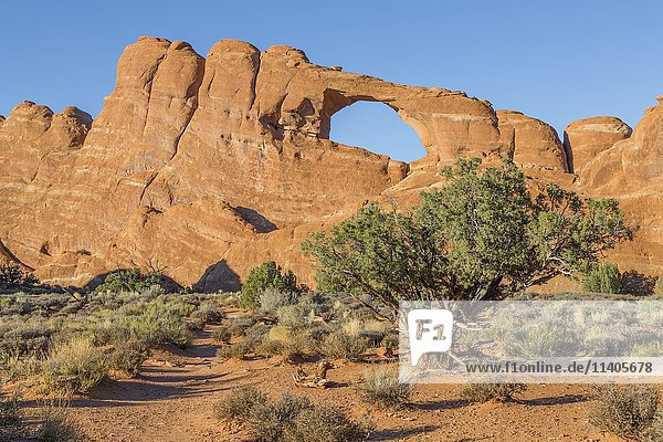 Felsbogen Skyline Arch Arches National Park Utah USA Nordamerika