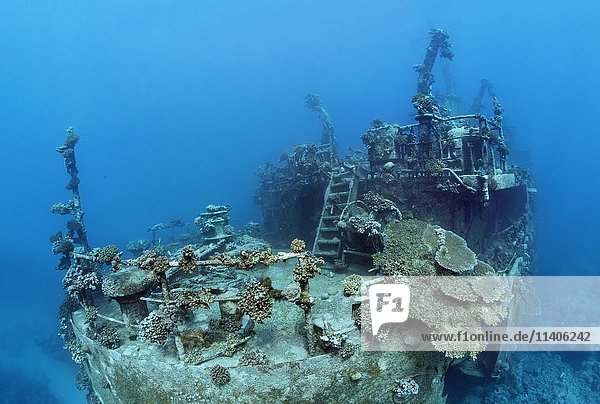 Stern of ship wreck  Russian wreck MS Khanka  former spy ship or communications ship  Zabargad Island  Red Sea  Egypt  Africa