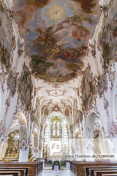 Rokoko-Innenraum der Pfarrkirche St. Kassian  Regensburg  Oberpfalz  Bayern  Deutschland  Europa