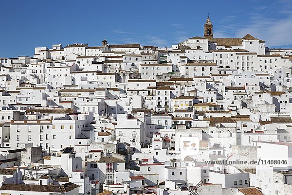 Weiße Häuser  Alcala de los Gazules  Provinz Cádiz  Andalusien  Spanien  Europa