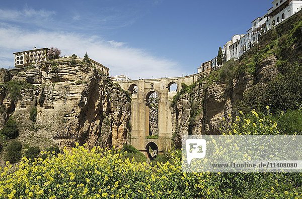 Puente Nuevo mit Tajo-Schlucht  Ronda  Provinz Malaga  Andalusien  Spanien  Europa