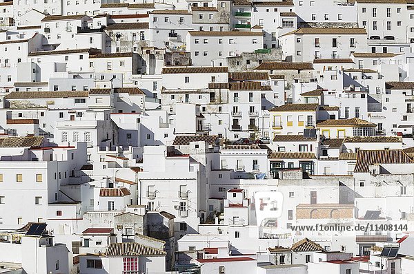 Weiße Häuser  Alcala de los Gazules  Provinz Cádiz  Andalusien  Spanien  Europa
