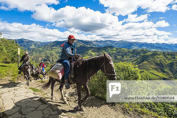 Horse riders on narrow path  Chachapoyas  Luya Province  Andes  Peru  South America