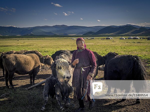 Nomade mit Yaks (Bos mutus)  Mongolei  Asien