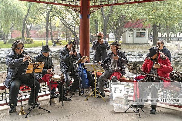 Einheimische Musiker mit Instrumenten  Ritan Park  Peking  China  Asien