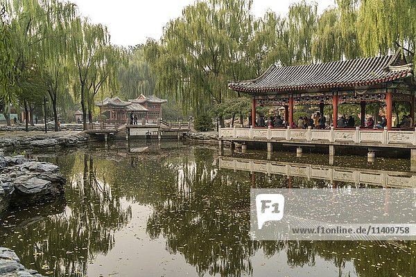 See mit Pavillon  Ritan Park  Peking  China  Asien