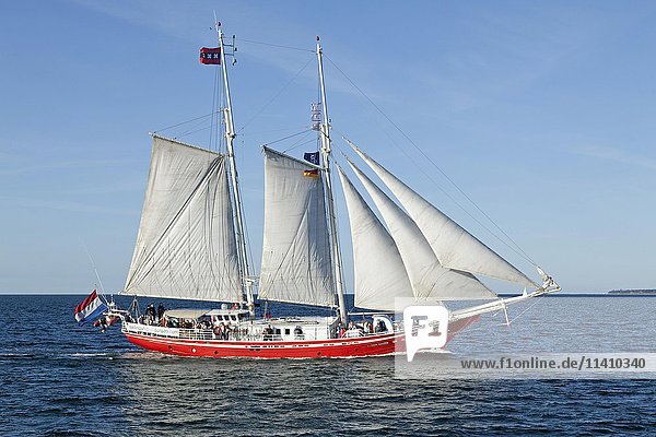Segelschiff  Hanse Sail  Warnemünde  Mecklenburg Vorpommern  Deutschland  Europa