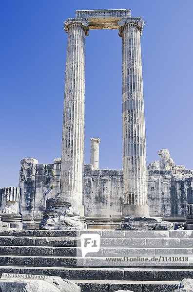 Säulen des Apollo-Tempels  Didyma  Anatolien  Türkei  Asien
