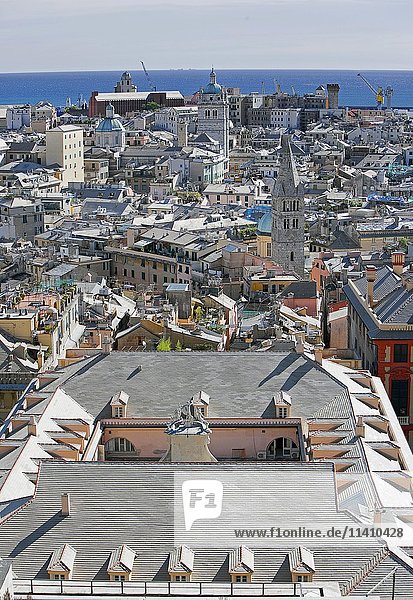 Cityscape  elevated view  Genoa  Liguria  Italy  Europe