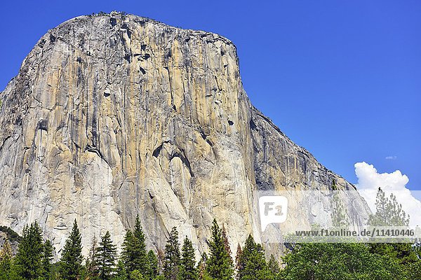 El Capitan  Granit  erodierter Berg  Yosemite Valley  Yosemite National Park  Kalifornien  USA  Nordamerika