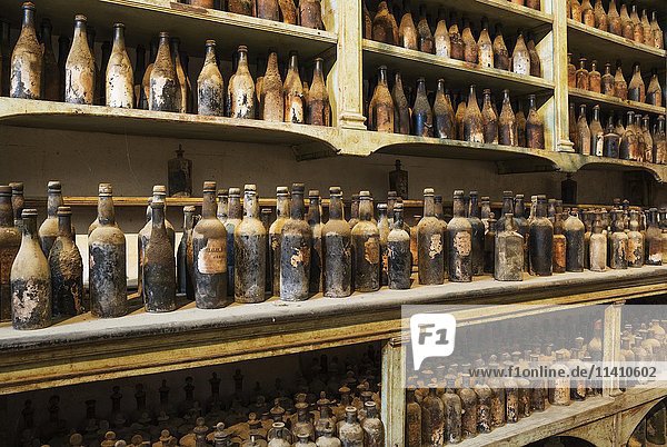 Ausstellungsraum mit alten  verstaubten Sherry-Flaschen  Weinkellerei Bodega Gonzalez Byass  Jerez de la Frontera  Provinz Cádiz  Andalusien  Spanien  Europa