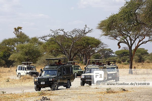 Touristen auf Safari  ATVs fahren durch den Busch  Ngorongoro  Serengeti National Park  Tansania  Afrika