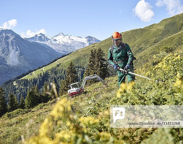 Holzfäller auf der Weide  Berglandschaft  Alpen  Hintertux  Tuxertal  Zillertal  Tirol  Österreich  Europa