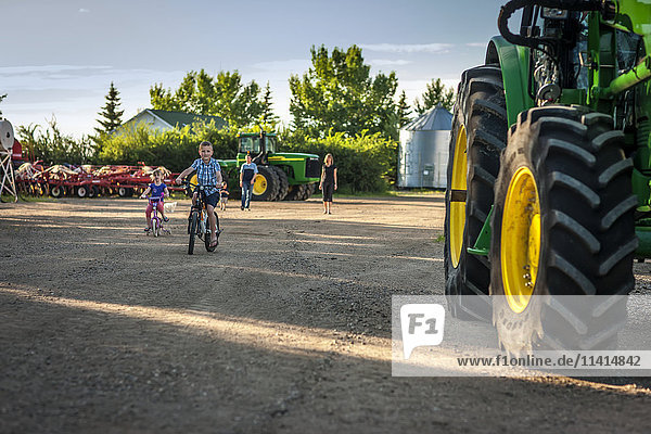Kinder fahren Fahrrad neben einem großen Traktor auf der Familienfarm  während die Eltern im Hintergrund zusehen; Herschel  Saskatchewan  Kanada'.