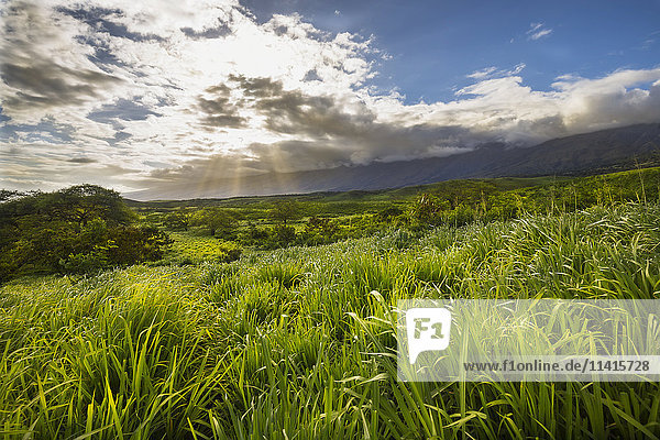 Eine Szene am späten Nachmittag unterhalb des Haleakala auf der Rückseite von Maui  nahe Kaupo; Maui  Hawaii  Vereinigte Staaten von Amerika'.