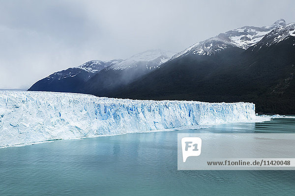 'Perito Moreno Glacier in Los Glaciares National Park in Argentinian portion of Patagonia; El Calafate  Santa Cruz Province  Argentina'