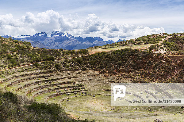 Kreisförmige Terrassen von Moray  Stadt Maras im Heiligen Tal von Peru; Moray  Cusco  Peru'.