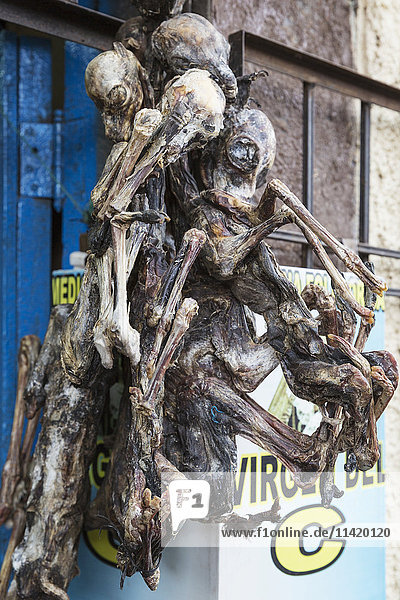 Getrocknete Lama-Körper  die auf dem Markt für Kräutermedizin verwendet werden; Cusco  Peru