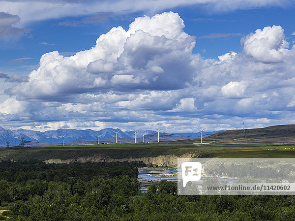 Windkraftanlagen auf einem Feld mit den kanadischen Rockies in der Ferne; Brocket,  Alberta,  Kanada'.