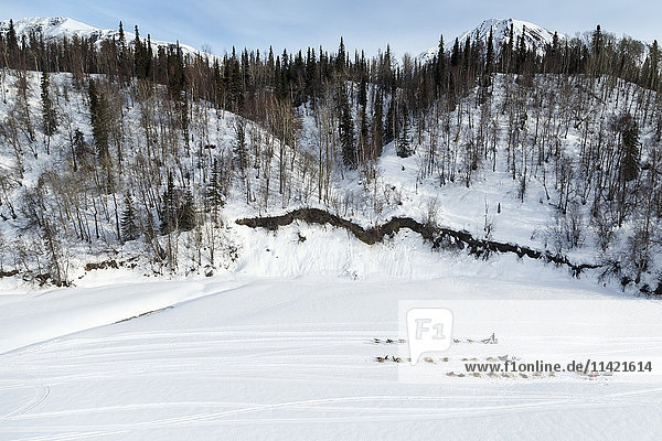 Allen Moore runs past resting teams Jason and Lance Mackey on the Skwentna River between the Finger Lake and Rainy Pass checkpoint during Iditarod 2016  Alaska